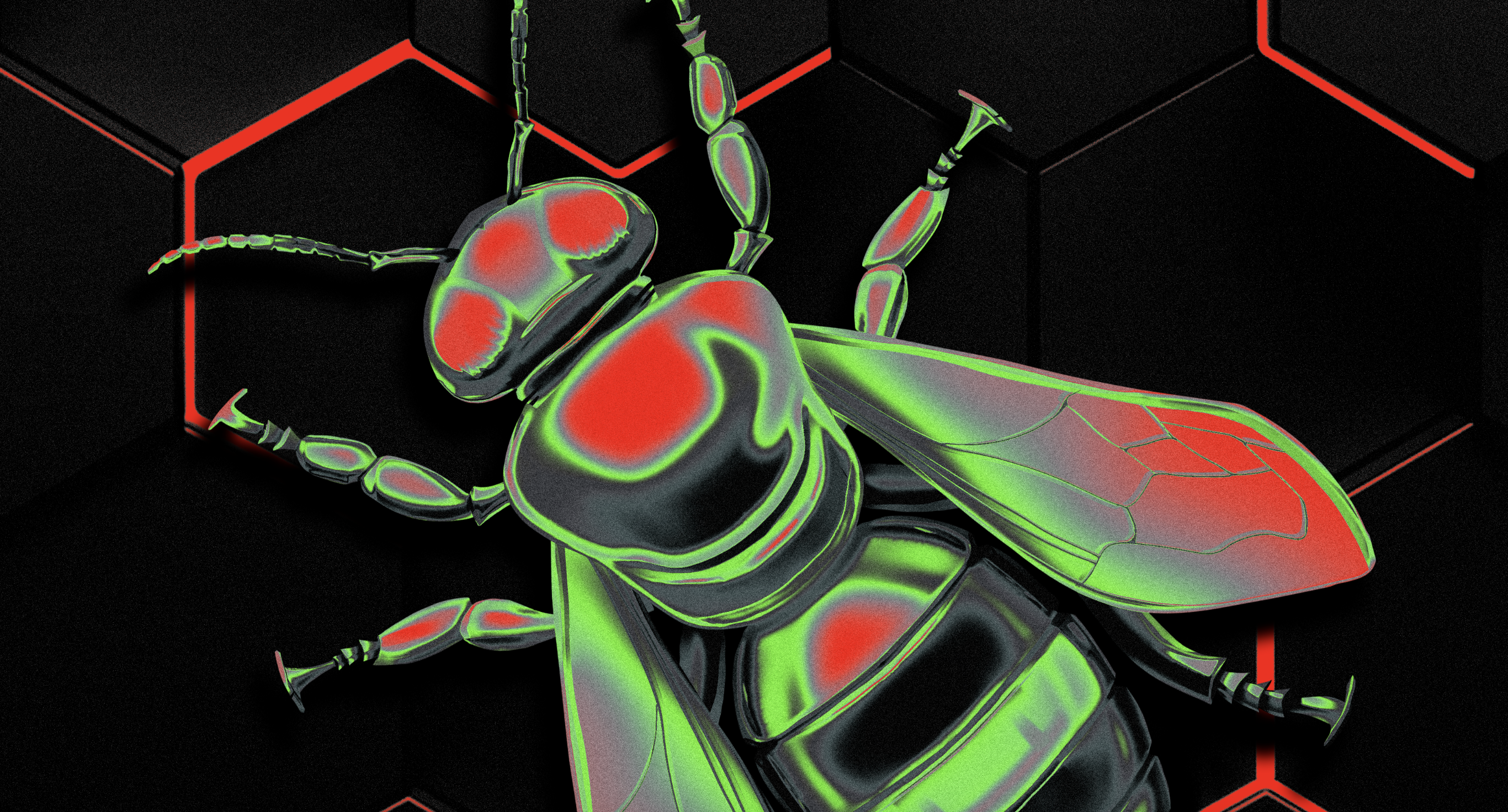 Insect