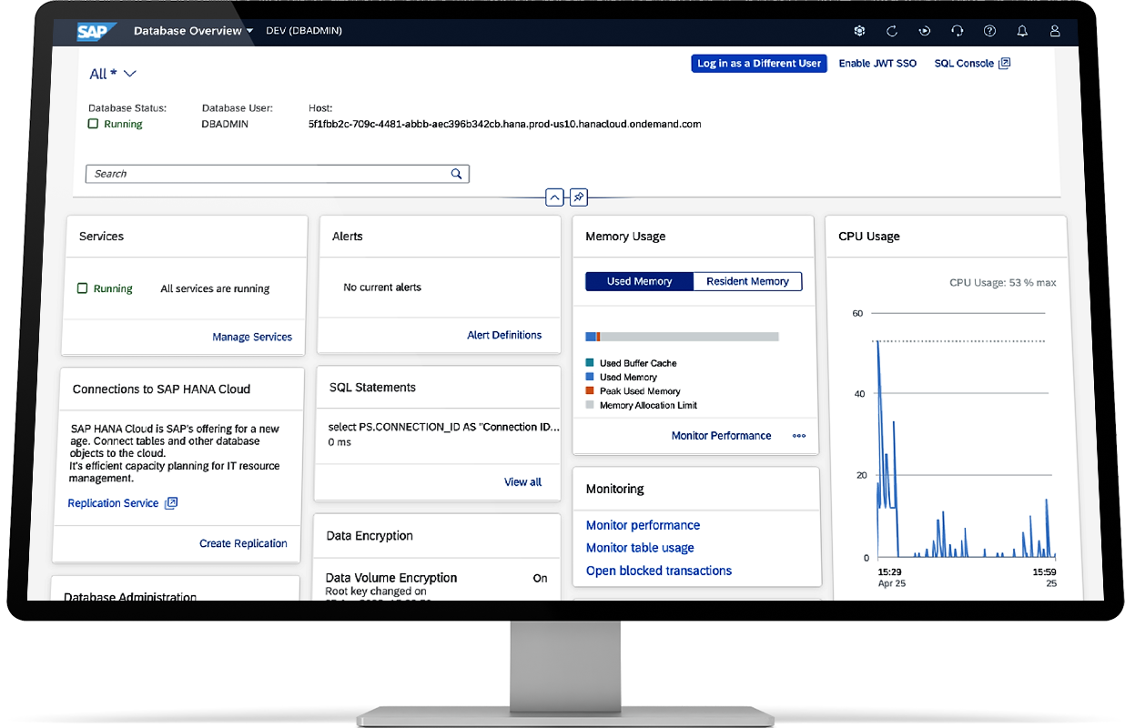 SAP Business One Dashboard